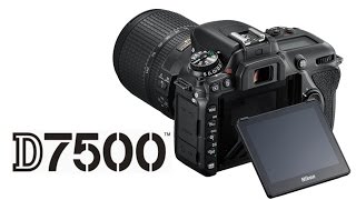 Nikon D7500 Preview vs D500 D7200 [upl. by Aikemet]