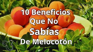 10 Beneficios Increíbles del Melocotón 🍑✨ [upl. by Isaacson]