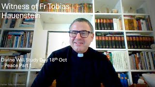 Testimony of Fr Tobias Hauenstein  18 Oct 2024 part 1 [upl. by Erej]