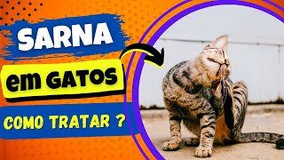 SARNA EM GATOS  COMO TRATAR  TRATAMENTO CASEIRO [upl. by Patt]