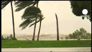 Cyclone Yasi wreaks havoc but no deaths [upl. by Akahs]