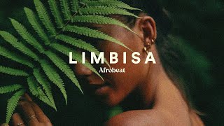 Afrobeat Type Beat x Dancehall Type Beat  Limbisa [upl. by Maccarone]