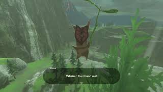 Korok seeds  Ulria Grotto South  Akkala Tower 5455  Zelda BOTW [upl. by Acinorehs]