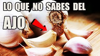 ANTES DE COMER AJO MIRA ESTE VIDEO  Guia Completa de la siembra del AJO [upl. by Assirhc]