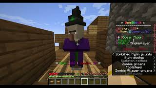 How to make a witch throw a weakness potion to a zombie villager  Minecraft 1202 [upl. by Clark552]