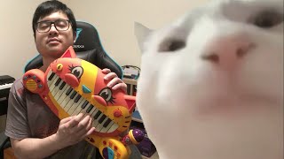 Cat Vibing to Ievan Polkka on Cat Piano [upl. by Ozne]