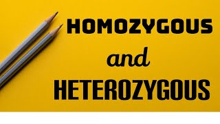 What are Homozygous and Heterozygous  Alleles  RR Rr  Biology [upl. by Unity]