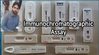 Immunochromatographic assay ICA or ICT explained in urduhindi [upl. by Aneled988]