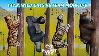 Planet Zoo Animals Climbing Race  Team Wild Cats vs Team Monkeys [upl. by Otrebile351]