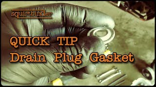 Quick Tip  Drain Plug Gasket or Crush Washer [upl. by Wind284]