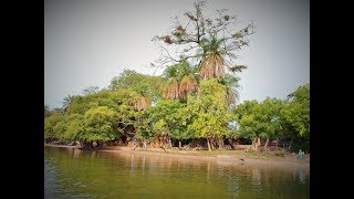 Belle chanson sérère 4 Sénégal [upl. by Behnken]