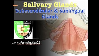 Submandibular and Sublingual Glands [upl. by Nillok]