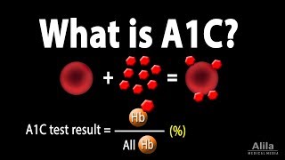 A1C Test for Diabetes Animation [upl. by Azar]