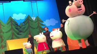 Peppa pig LIVE  bing bong song [upl. by Anirod]