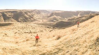 Hunting Idaho Mountain Birds  Chukar Hungarian Partridge amp Quail  The Flush Season 10 Episode 7 [upl. by Teryn]