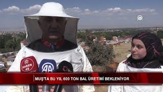 Muşta bu yıl 600 ton bal üretimi bekleniyor [upl. by Thedrick]