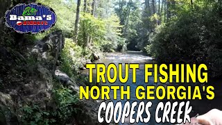 TROUT FISHING NORTH GEORGIA COOPERS CREEK SUCHES GEORGIA [upl. by Nannarb878]