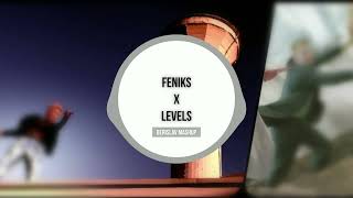 Colonia  Feniks x Avicii  Levels Berislav Mashup Feniks iz Levela [upl. by Ignatzia]