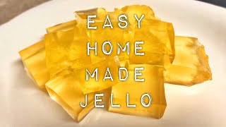 Homemade jello only 2 ingredients Kosher 👍🏻 [upl. by Zach44]