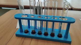 Class 12 Effect of temperature on the activity of salivary amylase on starch [upl. by Rabelais]