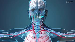 The Endocannabinoid System [upl. by Terrye]