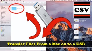 How to TRANSFER Files From a Mac on to a USB  New [upl. by Maudie]