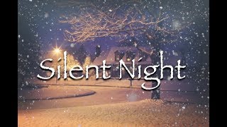 Silent Night  Instrumental [upl. by Nosnehpets]