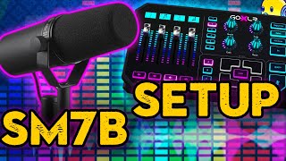 Shure SM7B amp GoXLR Setup For Live Streaming  Best Microphone Settings [upl. by Sellers]