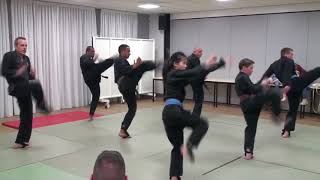 Demonstratie Shaolin Kempo Banteng [upl. by Eitsud]