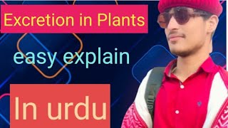 Excretion in plants  easy explain lecture of 2nd year biology in urdu [upl. by Alvinia699]