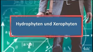 Hydrophyten und Xerophyten [upl. by Yllen]