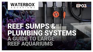 Reef Sumps amp Plumbing Systems [upl. by Adneram]