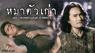 หมาตัวเก่า  พจน์ สุวรรณพันธ์ อาร์ สยาม Official MV [upl. by Anelem]