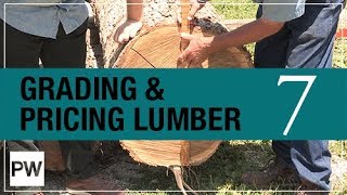 Milling Your Own Lumber  Part 7 Grading amp Pricing [upl. by Annissa302]