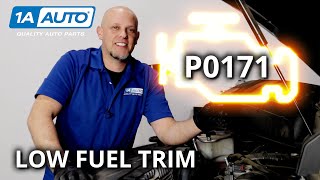 Check Engine Light No Symptoms on Your Car Diagnose Code P0171 Low Fuel Trim [upl. by Asserac543]