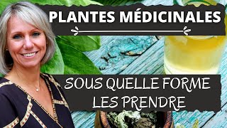 Plantes Médicinales  Sous quelle forme sontelles plus efficace [upl. by Tlevesor879]