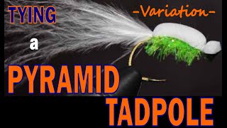 Fly Tying Pyramid Tadpole Variation [upl. by Dyche]