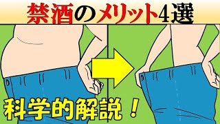 【知らないと損】お酒をやめるメリット4選【科学】 [upl. by Assilla]