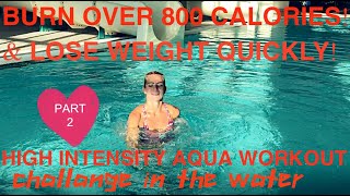 THE BEST High Intensity Aqua Aerobic Workout Part 2 [upl. by Milstone751]