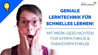 Schneller lernen mit der Geschichtenmethode So merkst du dir das vegetative Nervensystem [upl. by Suinuj]