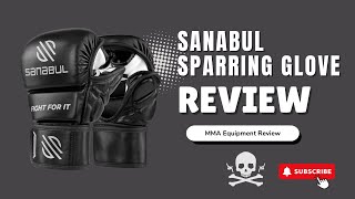 Sanabul Essential Sparring Glove Review [upl. by Pinelli]