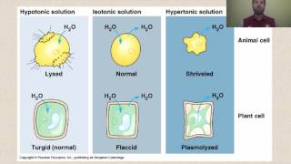 Types of Solutions [upl. by Emelita746]