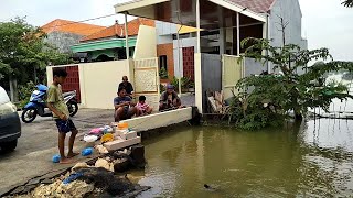 SUNGAI BANJIR MANCING IKAN MAS DI DEPAN RUMAH WARGA [upl. by Drislane]