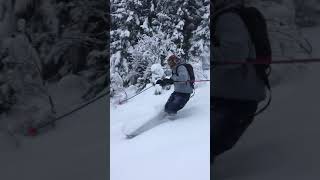 Monoski Split Season  The Powder Ski Master [upl. by Evaleen]