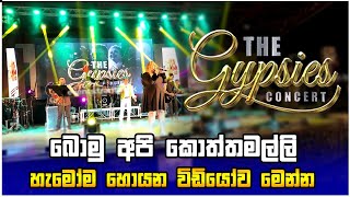 බොමු අපි කොත්තමල්ලි Live at The Gypsies Concert  Koththamalli  TheGypsiesLK [upl. by Ecineg162]