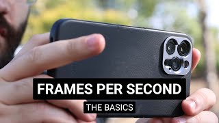 The Basics of Frames Per Second FPS  SANDMARC [upl. by Hameerak]