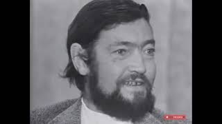 JULIO CORTÁZAR HABLA DE RAYUELA [upl. by Mcnamara]