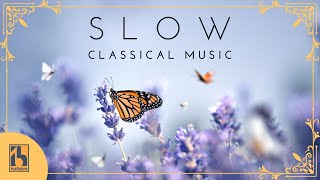 Slow Classical Music [upl. by Nydroj]