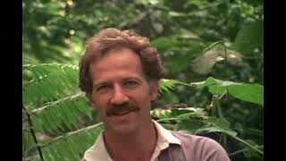 Werner Herzog and the Amazon jungle [upl. by Shep]