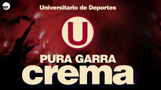 La Trinchera Norte  Señores soy hincha canciones de la u  Universitario de Deportes [upl. by Laeno919]